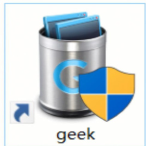 Geek